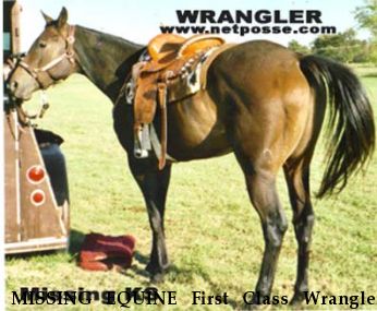 MISSING EQUINE First Class Wrangler, Near Kansas City, KS, 66104
